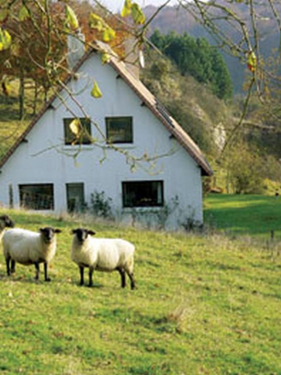 Chambre D'Hotes Les Champarts Tourville-la-Chapelle Exteriér fotografie