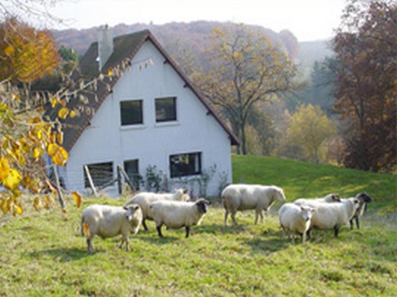 Chambre D'Hotes Les Champarts Tourville-la-Chapelle Exteriér fotografie
