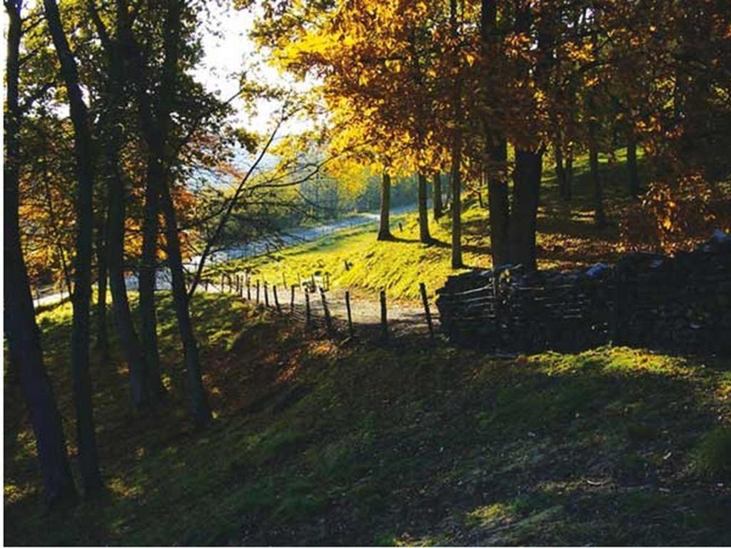 Chambre D'Hotes Les Champarts Tourville-la-Chapelle Exteriér fotografie